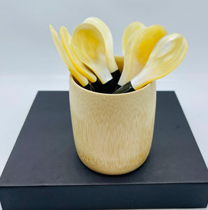 thìa sừng - sà cừ